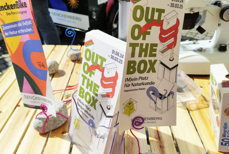 Out of the Box – (M)ein Platz für Naturkunde